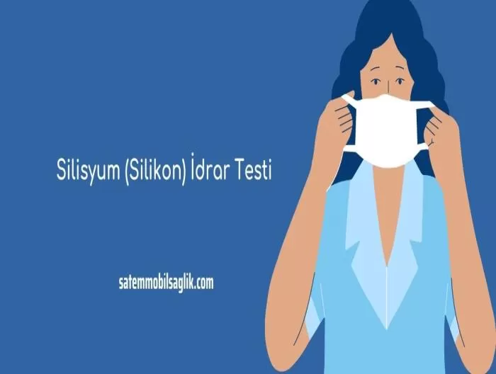 Silisyum (Silikon) İdrar Testi 